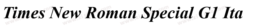 Times New Roman Special G1 Italic字体转换